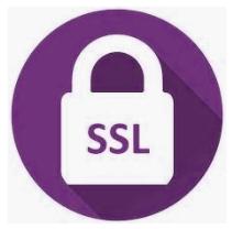Certificado Seguridad SSL Mensual